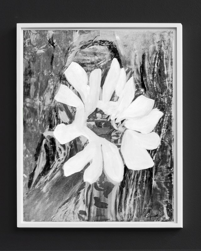 Alex Fischer, Super Seed, 2021-01-04, digital composite